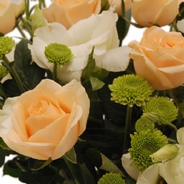 Elegance in a Vase (3) Elegance in a Vase (3)