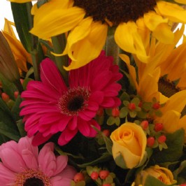 Bright and Cheerful (3) Bright and Cheerful (3)