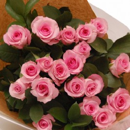 Pink Roses (2) Pink Roses (2)