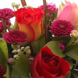Delightful (3)