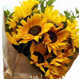 Sunshine Yellow (2)