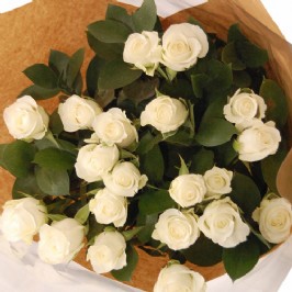 White Roses (2) White Roses (2)