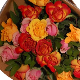 Mixed Roses (2)