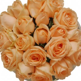 Just Peachy (2)