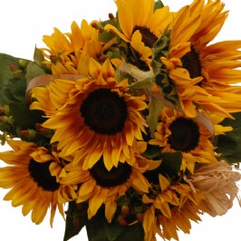 Basket of Sunshine (2)