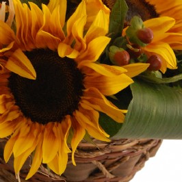 Basket of Sunshine (3)