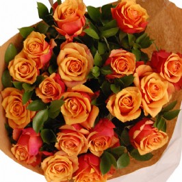 Orange Roses (2)
