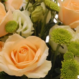 English Rose (3)