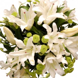 White Splendour (2)