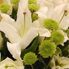 White Splendour (3)