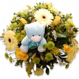 Little Prince (2)