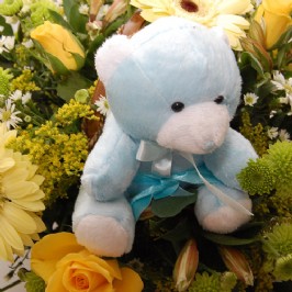 Little Prince (3)