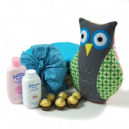 Wise Little Owl