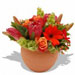Fresh Flowers - African Sky