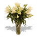 Fresh Flowers - Saintly