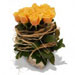 Fresh Flowers - Tuscan Sunshine
