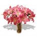 Fresh Flowers - Shimmering Sapphires