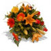 Fresh Flowers - Fields of Africa