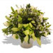 Fresh Flowers - Minty Fresh