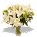 Fresh Flowers - White Splendour