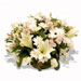 Fresh Flowers - Peace