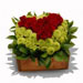 Fresh Flowers - Fluttering Heart