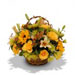 Fresh Flowers - Summer Fun