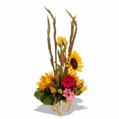 Bright and Cheerful