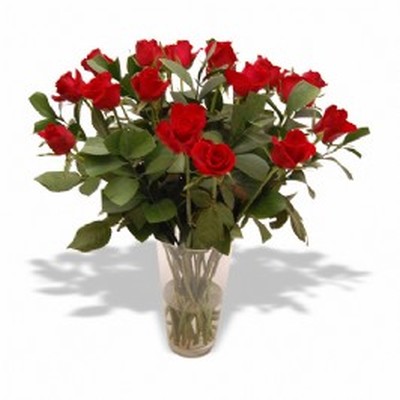 Red Roses in a Vase