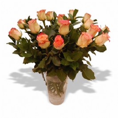 Pink Roses in a Vase