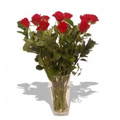 12 Long Stem Roses in a Vase