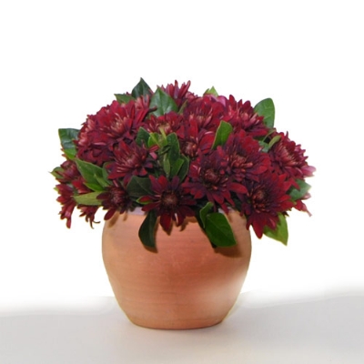 Ruby Red Pot