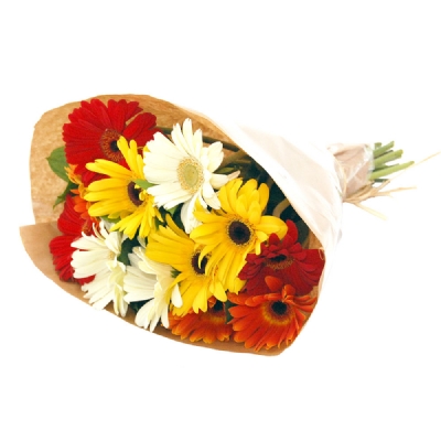 Mixed Gerberas