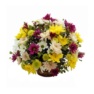 Mums the Word (Daisy Basket)