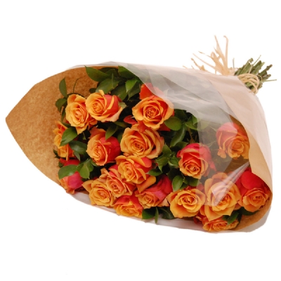 Orange Roses