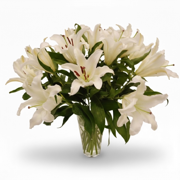 Casablancas in a Vase