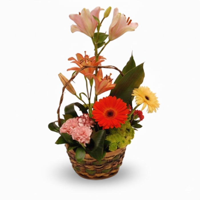 Garden in a Basket
