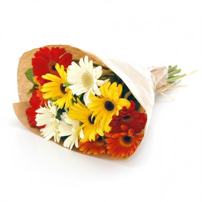 Mixed Gerberas
