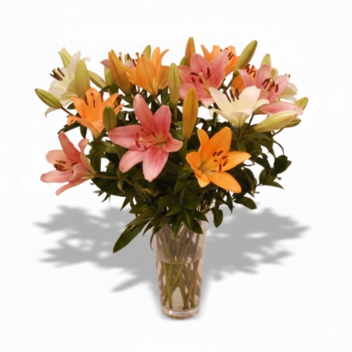 Mixed Lilies in a Vase