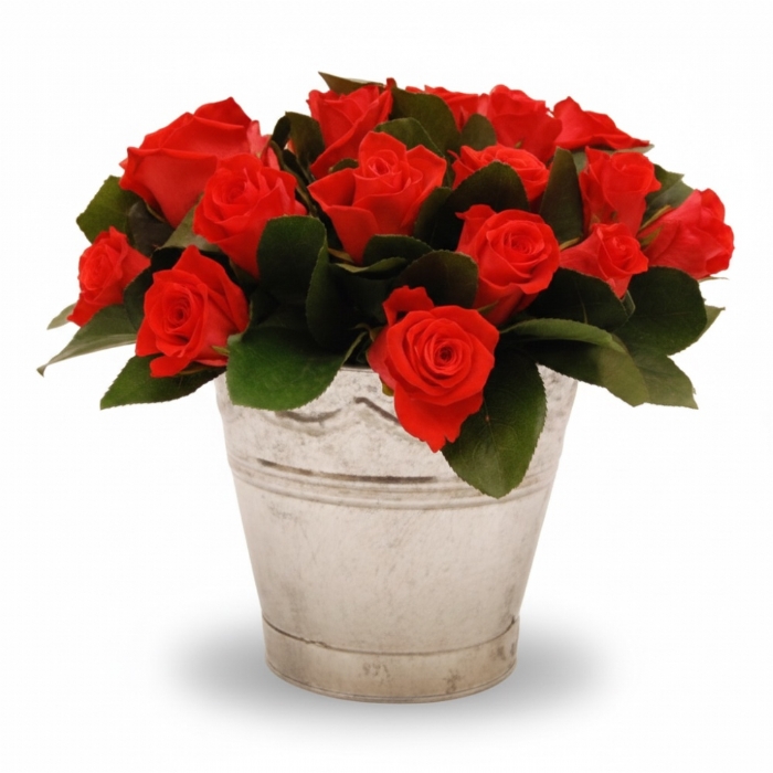 Orange Roses in a Silver Metal Bucket