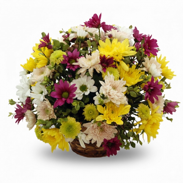 Mums the Word (Daisy Basket)