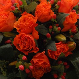 Distinguished (3)