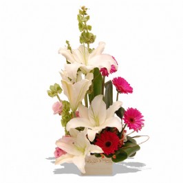 Garden Delight (1)