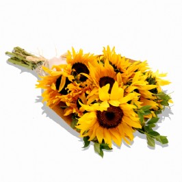 Sunshine Yellow (1)