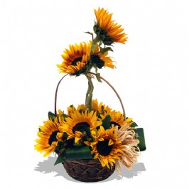 Basket of Sunshine (1)