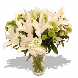 White Splendour (1)