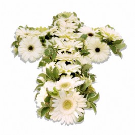 Purity (2)