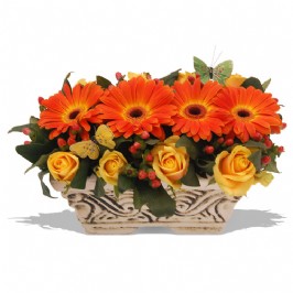 Bright Celebrations (1)