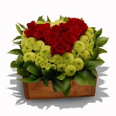 Fluttering Heart (1)