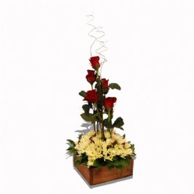 Budding Romance (1)